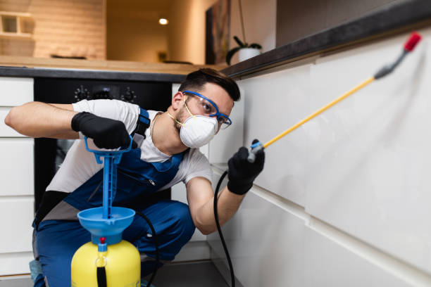 Best Pest Inspection Near Me  in Csar Chvez, TX