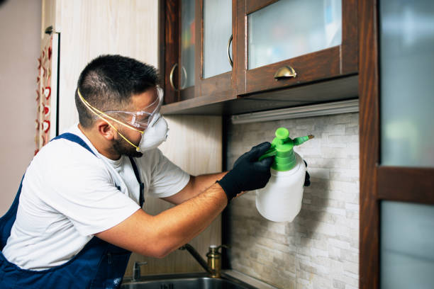 Best Pest Prevention Services  in Csar Chvez, TX