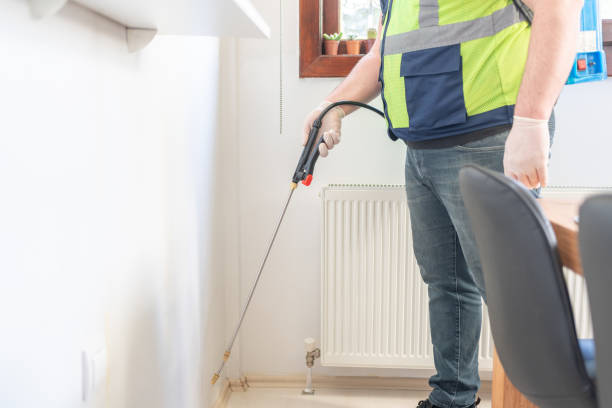 Best Termite Control Services  in Csar Chvez, TX